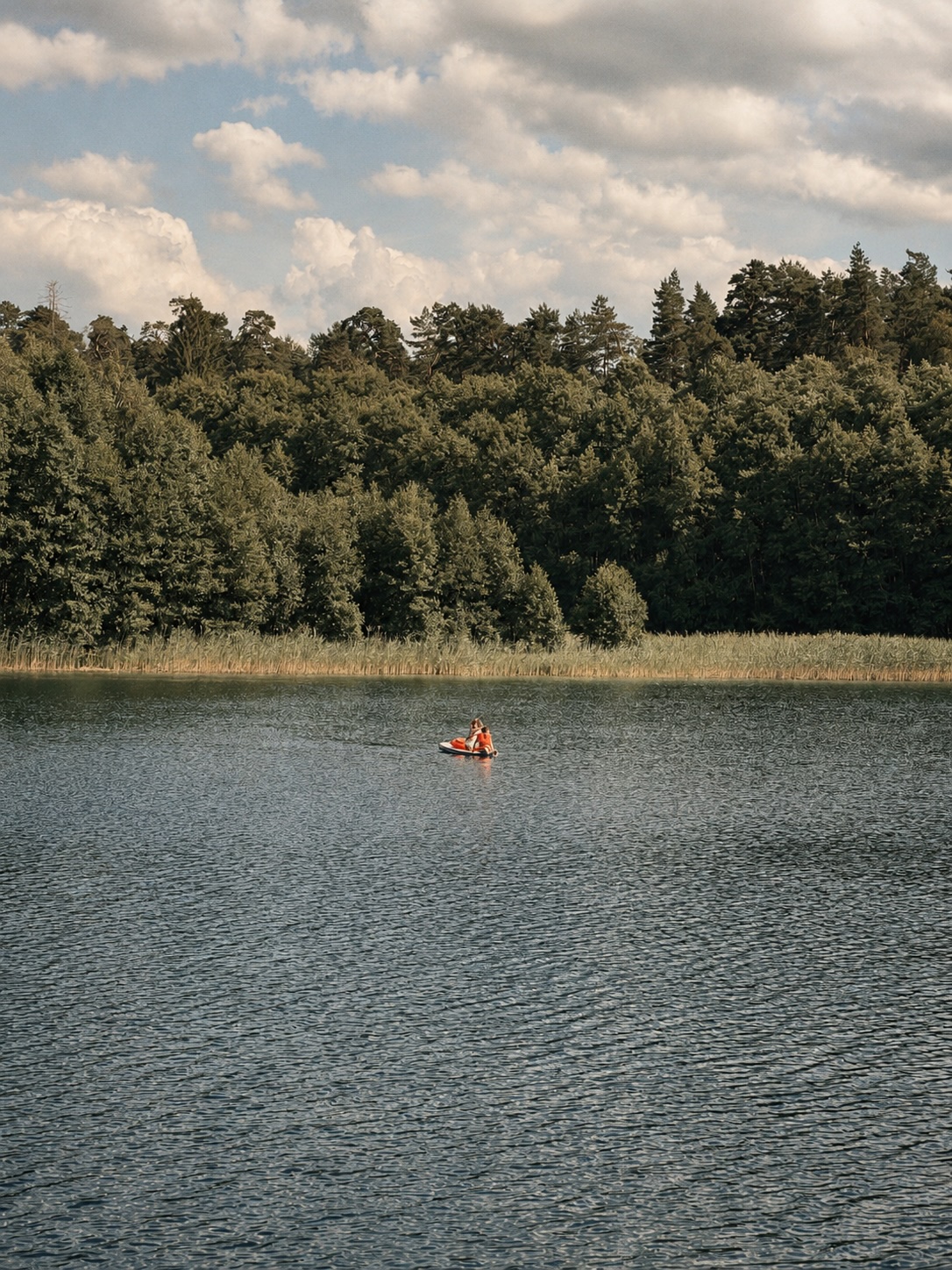Jezioro Jegocin — letnie popołudnie, las sosnowy w tle