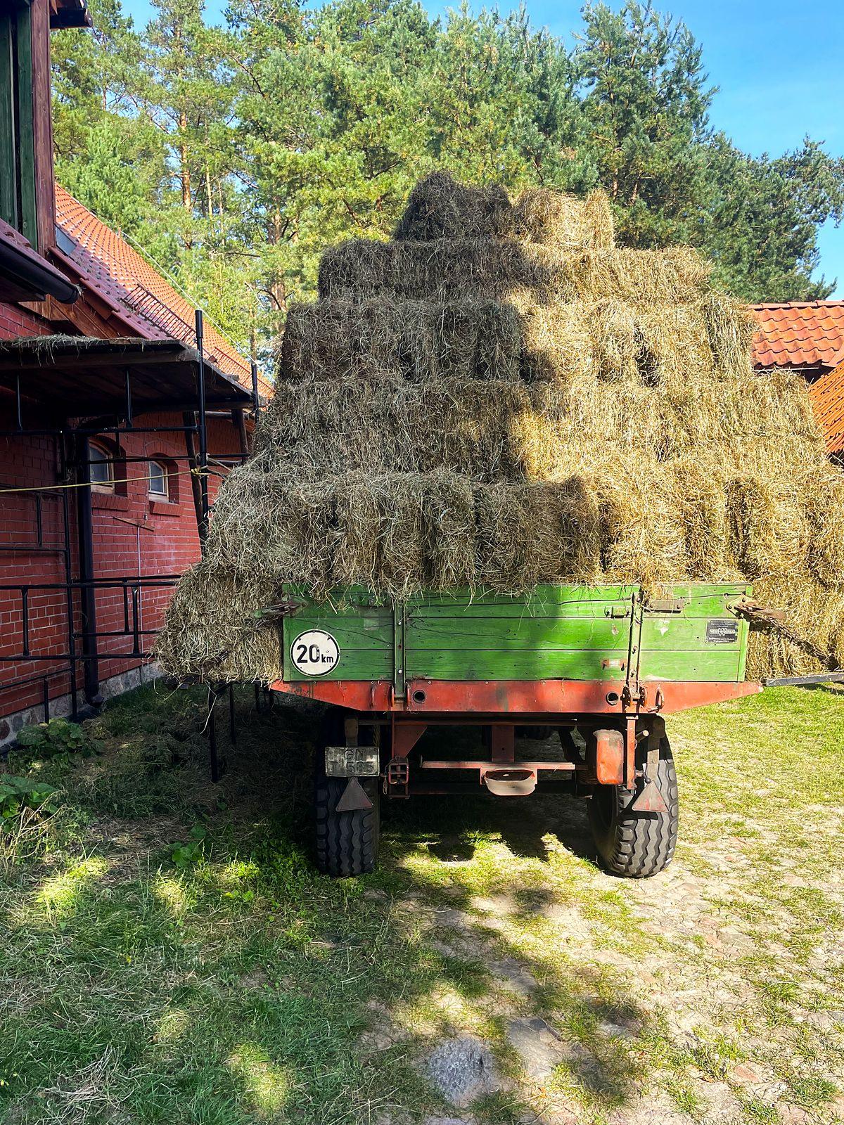 Stara przyczepa załadowana belami siana, zaparkowana przy stajni