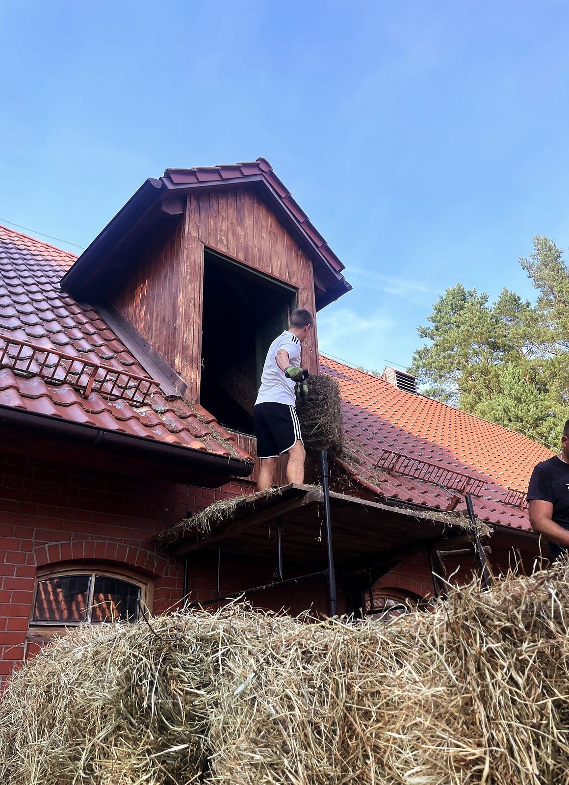 Mężczyzna wnosi belę siana na strych przez okno w dachu stajni