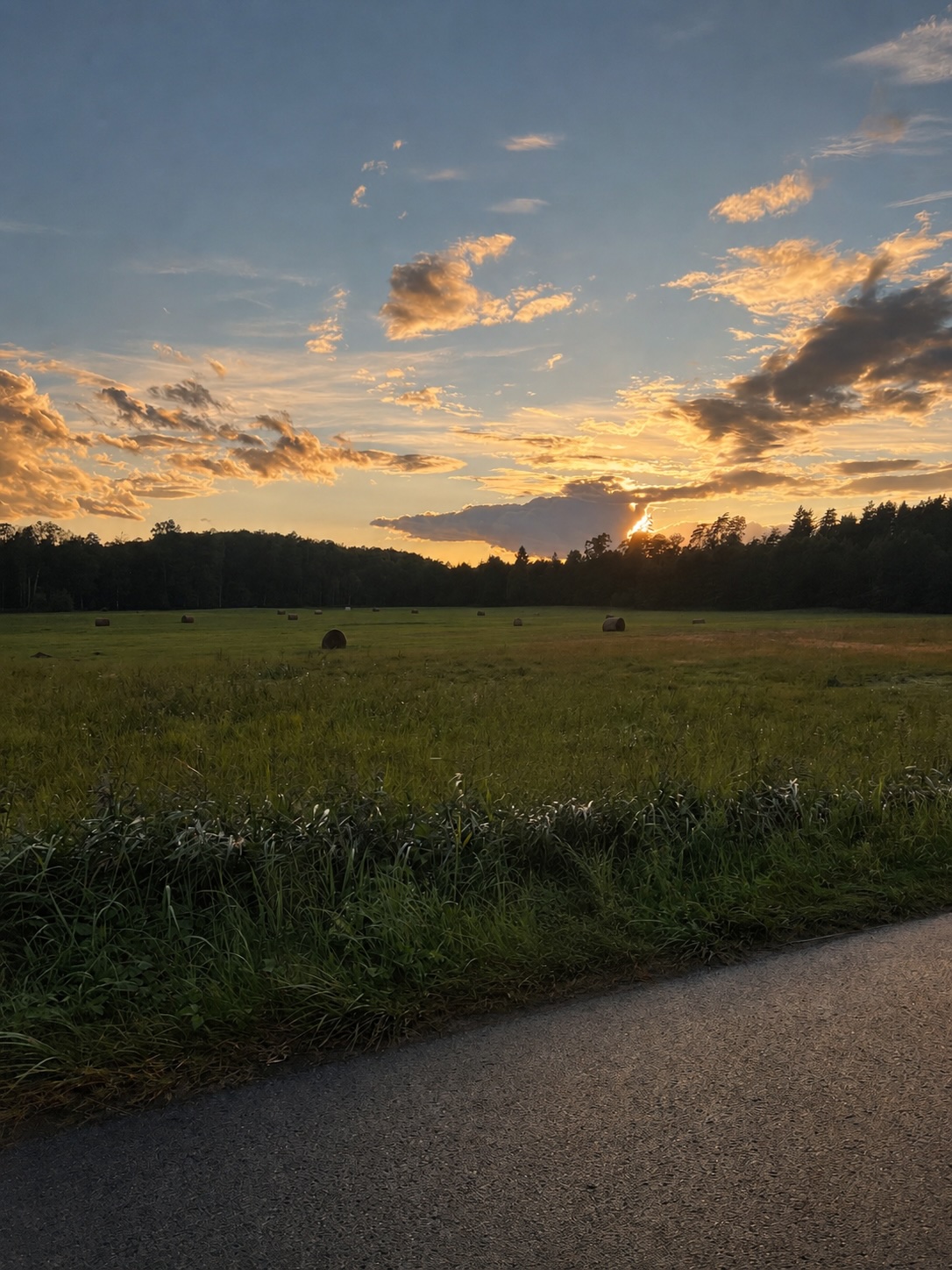 Wieczór nad łąką — zachód słońca nad polami przy Końcewie, sierpień 2026